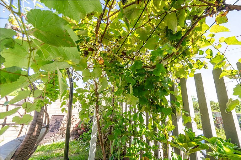 Apt Hortência 200m da praia by Achei Florianópolis