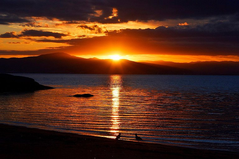 Apto Wave 3Q 800m da praia by Achei Floripa